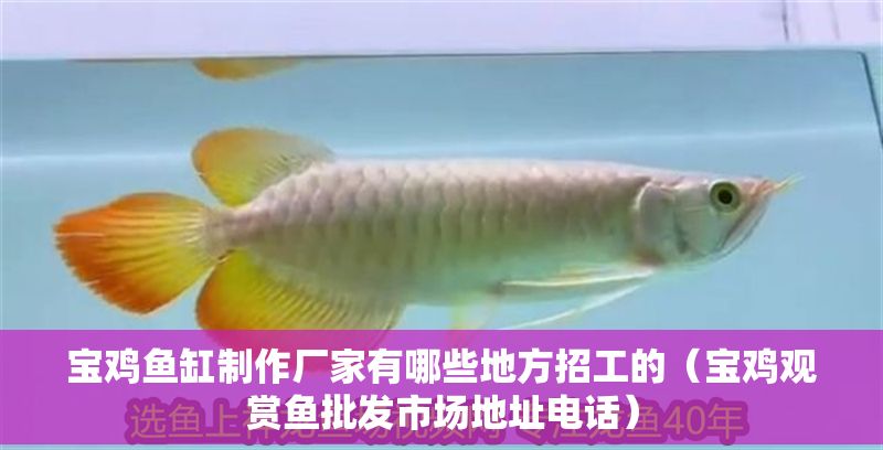 寶雞魚缸制作廠家有哪些地方招工的（寶雞觀賞魚批發市場地址電話）