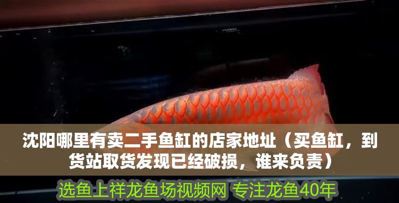 沈陽哪里有賣二手魚缸的店家地址（買魚缸，到貨站取貨發現已經破損，誰來負責） 沈陽哪里有賣二手魚缸的店家地址（買魚缸，到貨站取貨發現已經破損，誰來負責） 全國水族館企業名錄 第1張