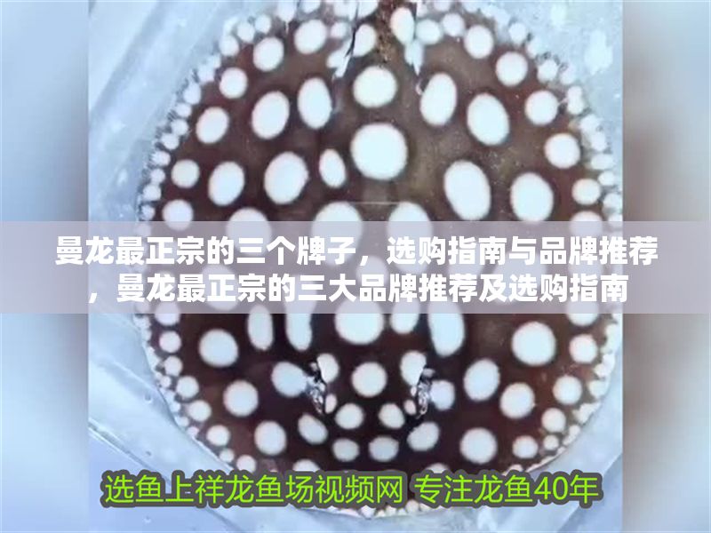 曼龍最正宗的三個(gè)牌子，選購指南與品牌推薦，曼龍最正宗的三大品牌推薦及選購指南