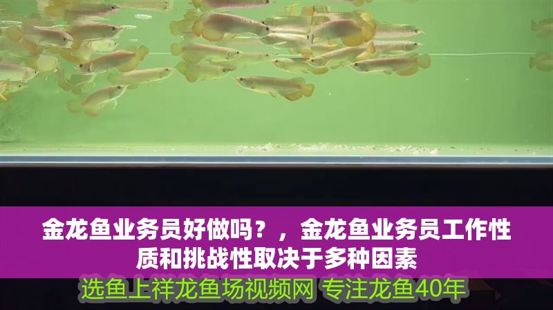 金龍魚業務員好做嗎？，金龍魚業務員工作性質和挑戰性取決于多種因素