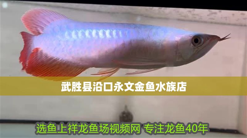 武勝縣沿口永文金魚水族店