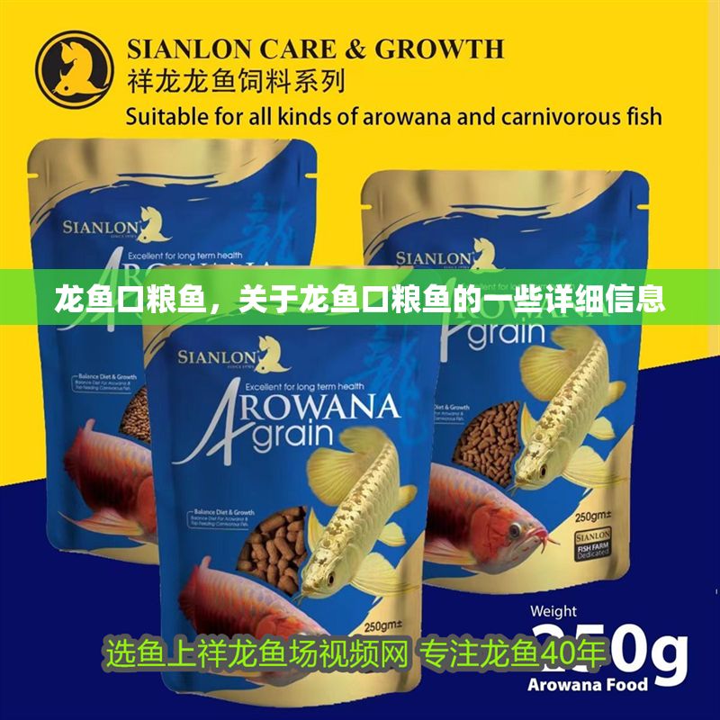 龍魚口糧魚，關于龍魚口糧魚的一些詳細信息