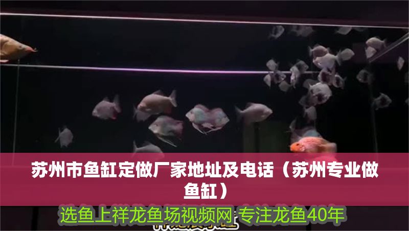 蘇州市魚缸定做廠家地址及電話（蘇州專業做魚缸）