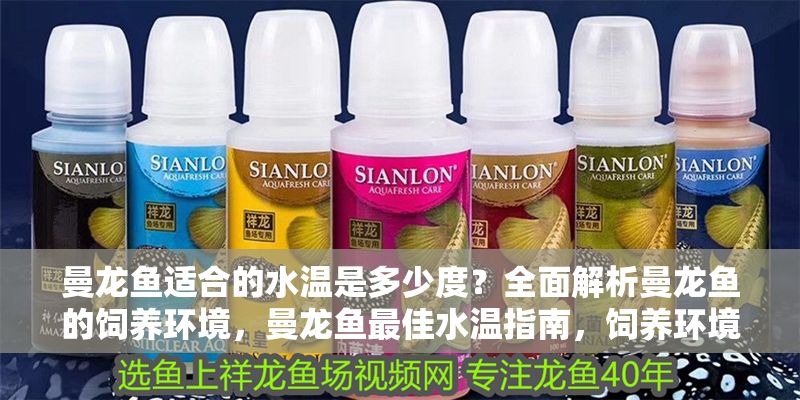 曼龍魚適合的水溫是多少度？全面解析曼龍魚的飼養(yǎng)環(huán)境，曼龍魚最佳水溫指南，飼養(yǎng)環(huán)境全解析
