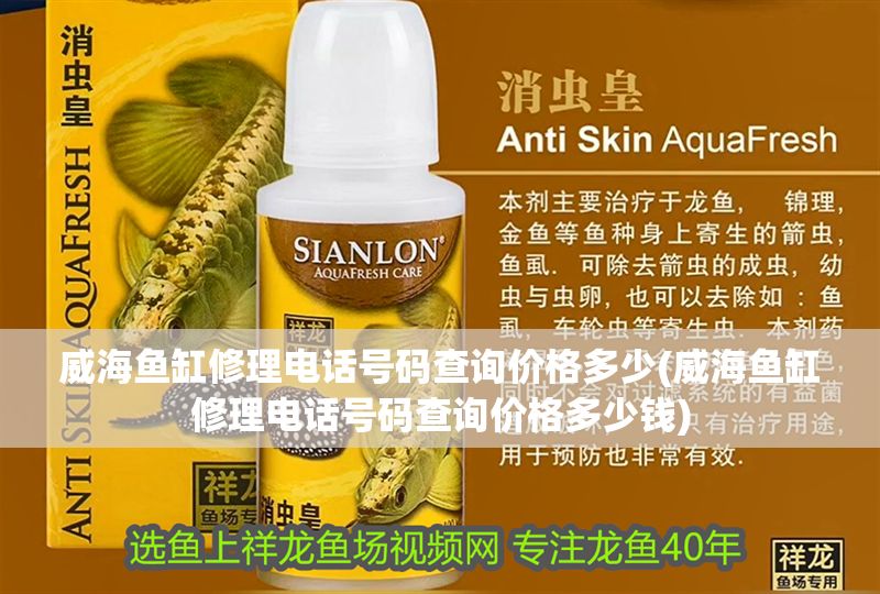 威海魚缸修理電話號(hào)碼查詢價(jià)格多少(威海魚缸修理電話號(hào)碼查詢價(jià)格多少錢)
