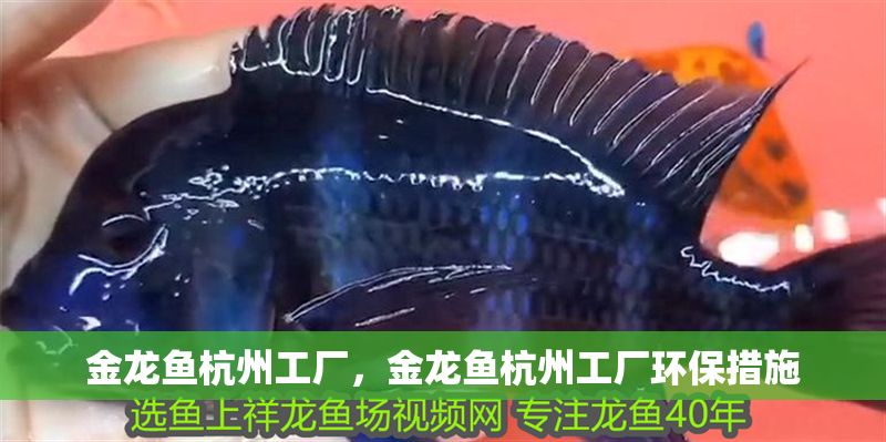 金龍魚杭州工廠，金龍魚杭州工廠環保措施