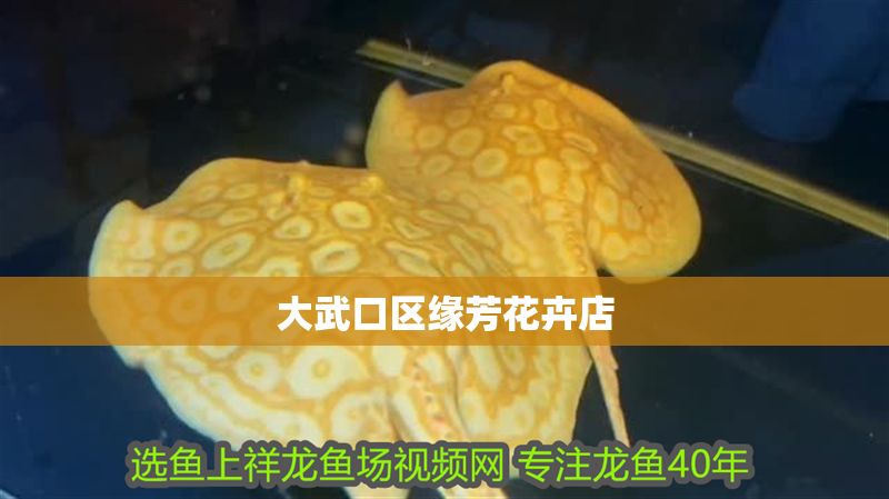 大武口區緣芳花卉店 全國水族館企業名錄 第1張 大武口區緣芳花卉店 大武口區緣芳花卉店 全國水族館企業名錄 第1張