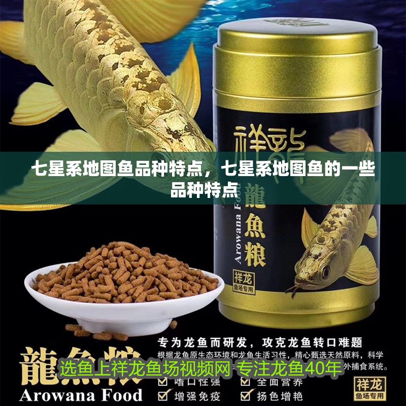 七星系地圖魚品種特點，七星系地圖魚的一些品種特點
