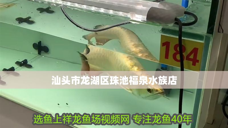 詳細閱讀:汕頭市龍湖區(qū)珠池福泉水族店 汕頭市龍湖區(qū)珠池福泉水族店