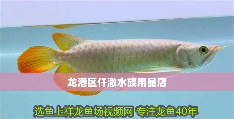 龍港區(qū)仟澈水族用品店 龍港區(qū)仟澈水族用品店 全國(guó)水族館企業(yè)名錄 第1張