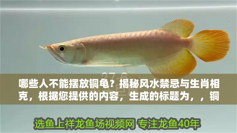 哪些人不能擺放銅龜？揭秘風水禁忌與生肖相克，根據您提供的內容，生成的標題為，，銅龜擺放禁忌，哪些屬相與人群不宜放置？風水忌諱全解析，在保留原內容核心的基礎上，優化了結構，突出禁忌與解析的實用性，同時涵蓋生肖與風水雙重視角，更符合讀者搜索習慣。）