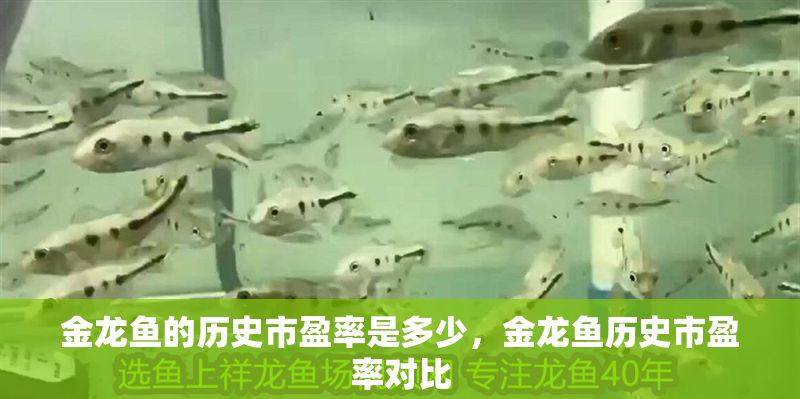 金龍魚的歷史市盈率是多少，金龍魚歷史市盈率對比