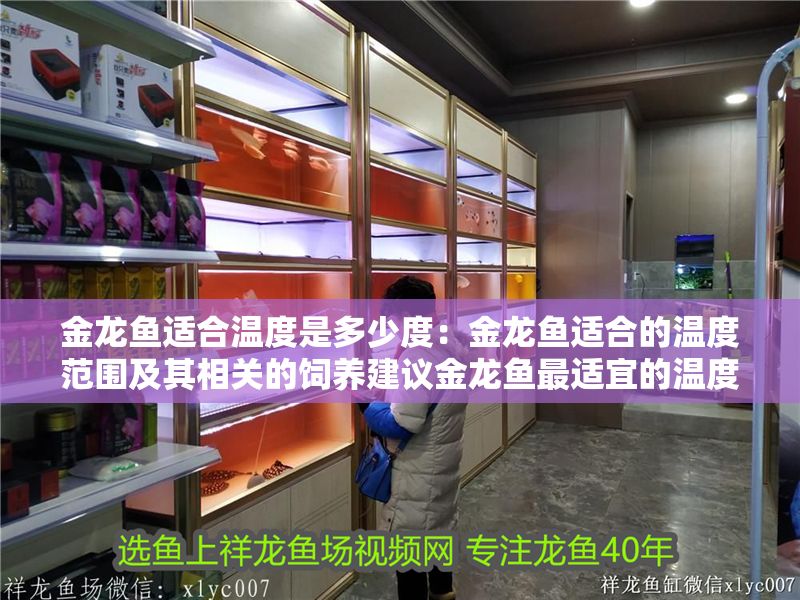 金龍魚適合溫度是多少度：金龍魚適合的溫度范圍及其相關的飼養(yǎng)建議金龍魚最適宜的溫度范圍