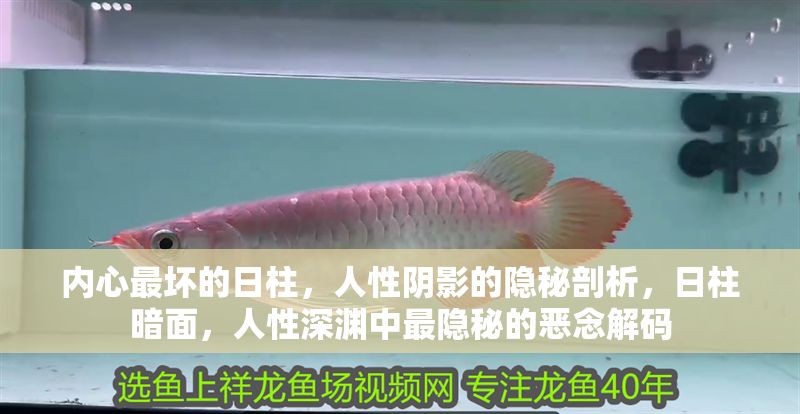 內(nèi)心最壞的日柱，人性陰影的隱秘剖析，日柱暗面，人性深淵中最隱秘的惡念解碼