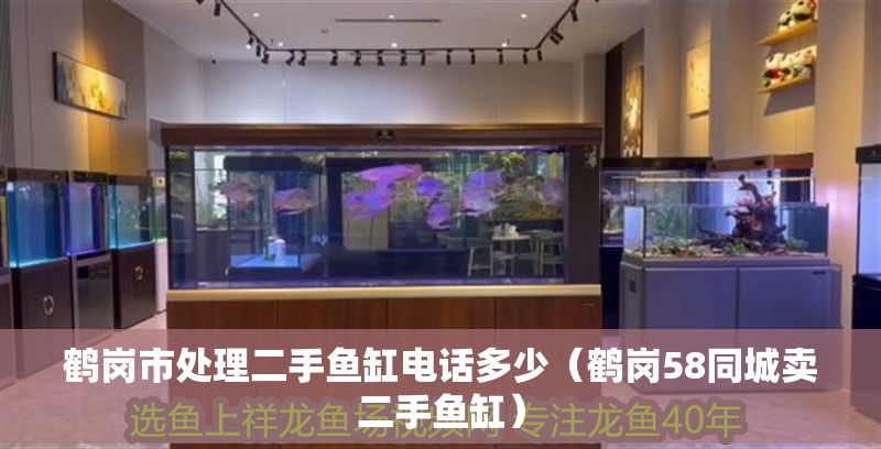 鶴崗市處理二手魚缸電話多少（鶴崗58同城賣二手魚缸）
