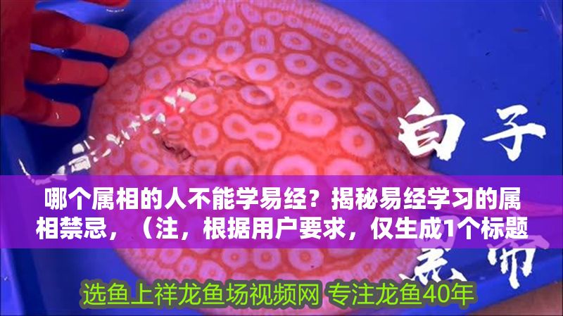 哪個屬相的人不能學易經？揭秘易經學習的屬相禁忌，（注，根據用戶要求，僅生成1個標題），易經學習有屬相禁忌？這幾類人需謹慎！