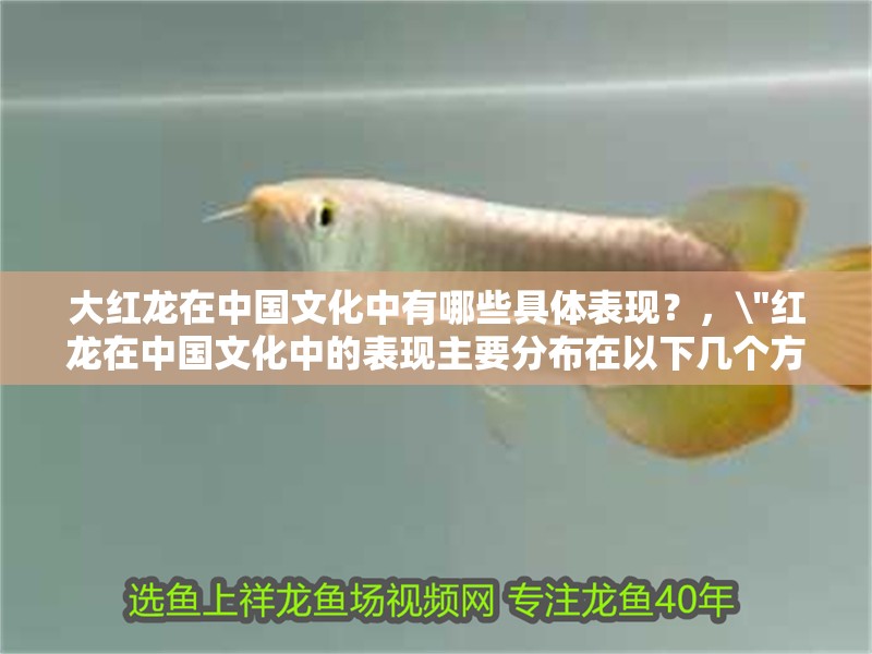 大紅龍在中國文化中有哪些具體表現？， 大紅龍在中國文化中有哪些具體表現？，\