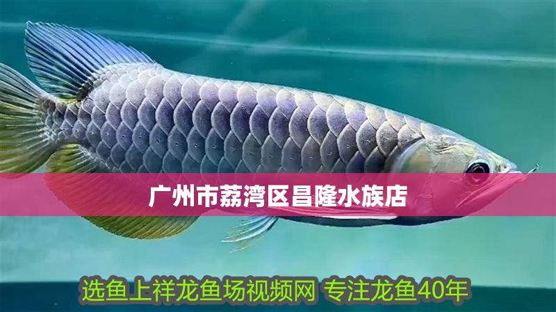 廣州市荔灣區昌隆水族店