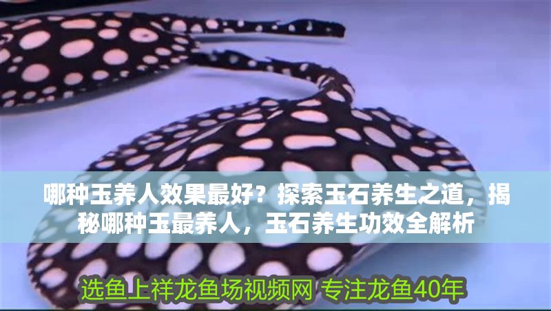 哪種玉養人效果最好？探索玉石養生之道，揭秘哪種玉最養人，玉石養生功效全解析