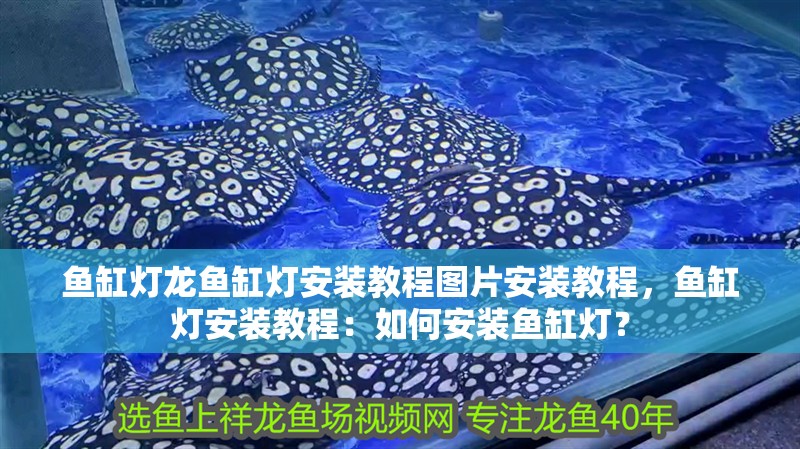 魚缸燈龍魚缸燈安裝教程圖片安裝教程，魚缸燈安裝教程：如何安裝魚缸燈？ 魚缸燈龍魚缸燈安裝教程圖片安裝教程，魚缸燈安裝教程：如何安裝魚缸燈？ 魚缸百科