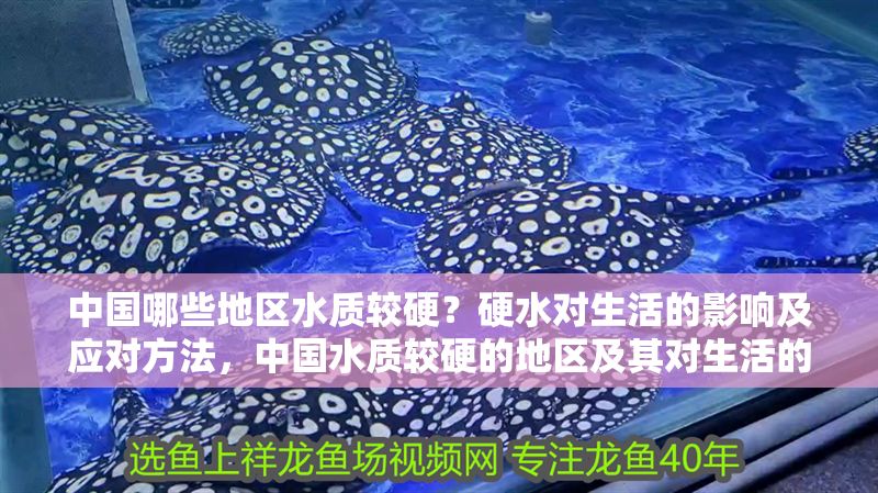 中國哪些地區水質較硬？硬水對生活的影響及應對方法，中國水質較硬的地區及其對生活的影響與應對措施