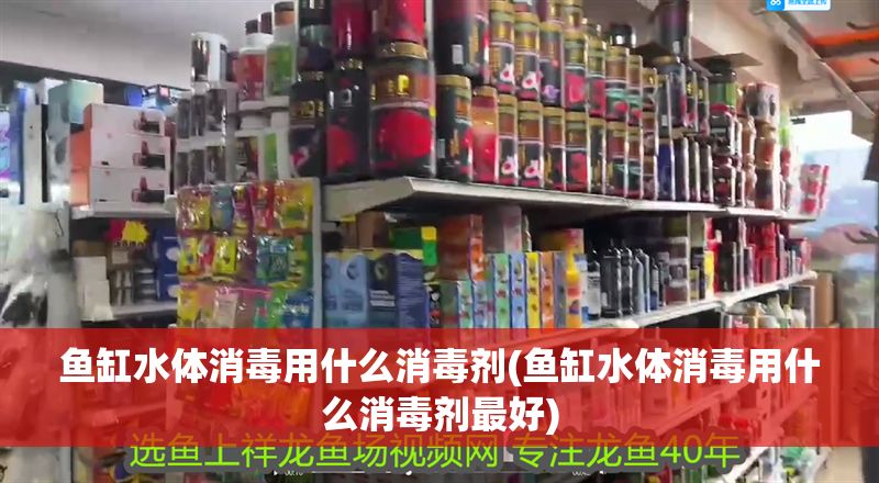 魚缸水體消毒用什么消毒劑(魚缸水體消毒用什么消毒劑最好)