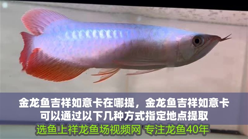 金龍魚吉祥如意卡在哪提，金龍魚吉祥如意卡可以通過以下幾種方式指定地點提取