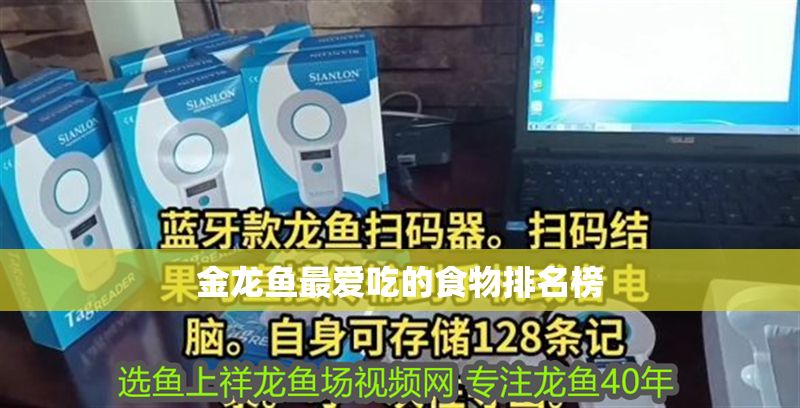 金龍魚最愛吃的食物排名榜
