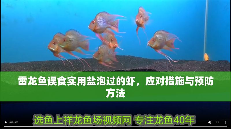 雷龍魚誤食實用鹽泡過的蝦，應對措施與預防方法