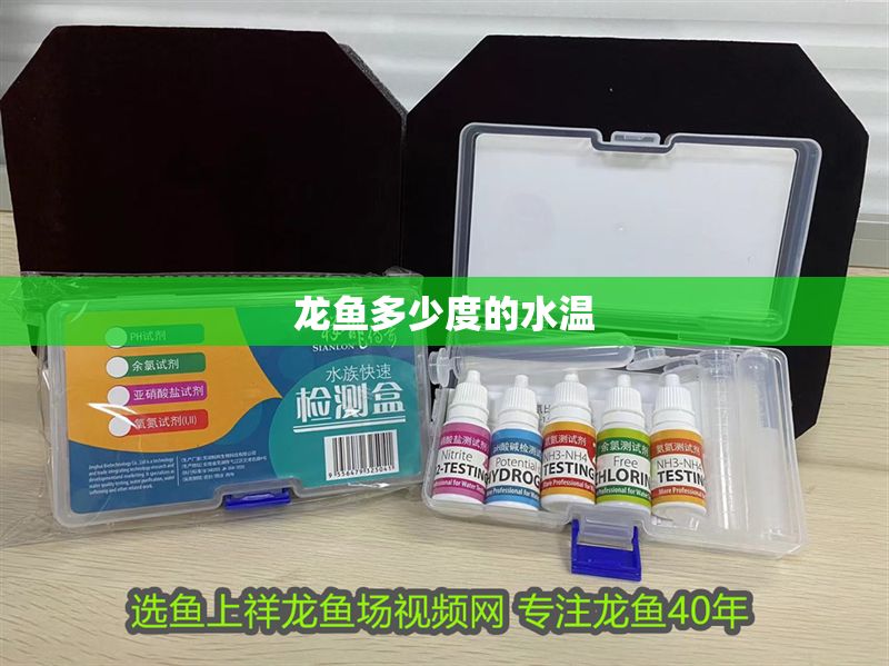 龍魚多少度的水溫