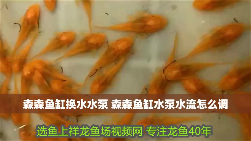 森森魚(yú)缸換水水泵 森森魚(yú)缸水泵水流怎么調(diào)