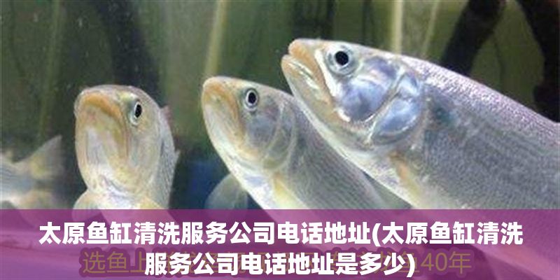 太原魚缸清洗服務公司電話地址(太原魚缸清洗服務公司電話地址是多少)
