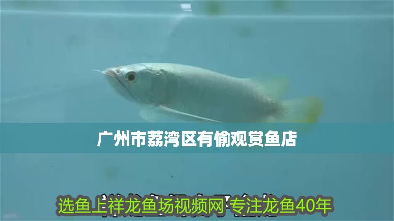廣州市荔灣區有愉觀賞魚店