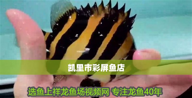 詳細閱讀:凱里市彩屏魚店 凱里市彩屏魚店