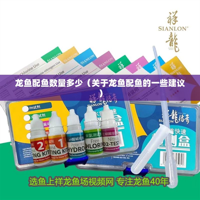 龍魚配魚數量多少（關于龍魚配魚的一些建議）