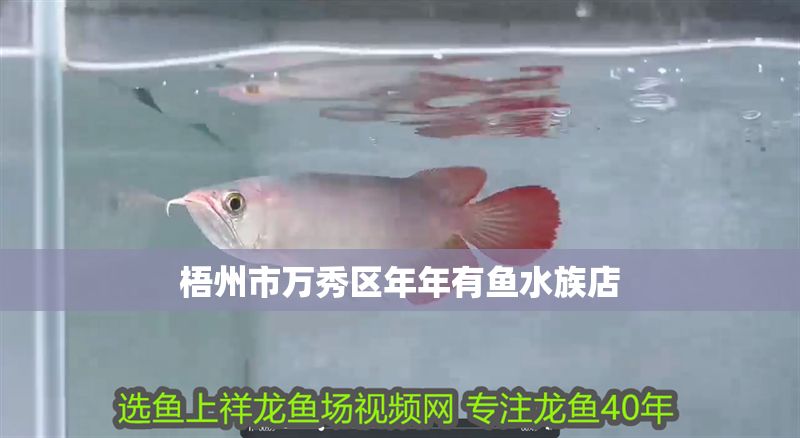 梧州市萬秀區(qū)年年有魚水族店 梧州市萬秀區(qū)年年有魚水族店 全國水族館企業(yè)名錄 第1張