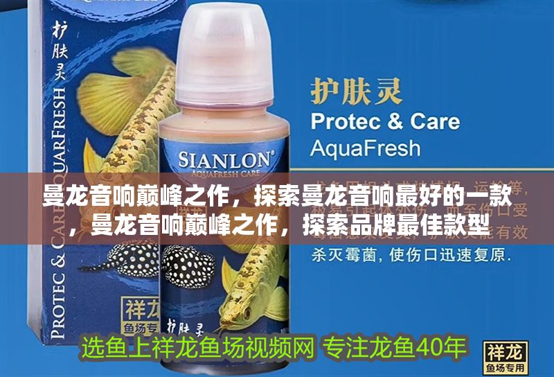 曼龍音響巔峰之作，探索曼龍音響最好的一款，曼龍音響巔峰之作，探索品牌最佳款型