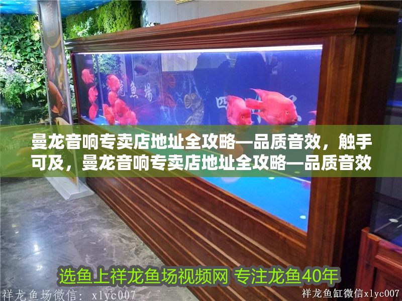 曼龍音響專賣店地址全攻略—品質(zhì)音效，觸手可及，曼龍音響專賣店地址全攻略—品質(zhì)音效，觸手可及