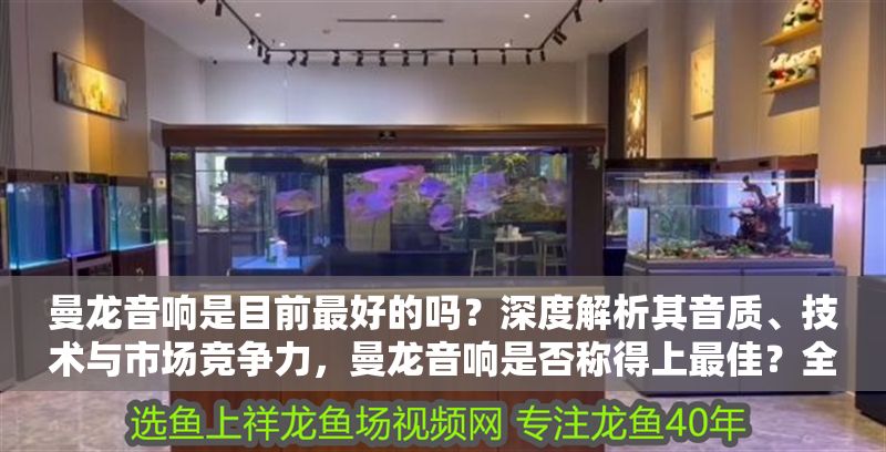 曼龍音響是目前最好的嗎？深度解析其音質(zhì)、技術(shù)與市場競爭力，曼龍音響是否稱得上最佳？全面剖析其音質(zhì)表現(xiàn)、核心技術(shù)及市場競爭力