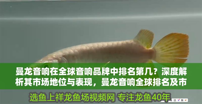 曼龍音響在全球音響品牌中排名第幾？深度解析其市場地位與表現(xiàn)，曼龍音響全球排名及市場地位深度解析