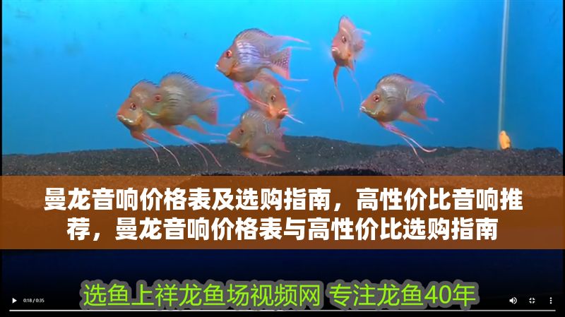 曼龍音響價格表及選購指南，高性價比音響推薦，曼龍音響價格表與高性價比選購指南