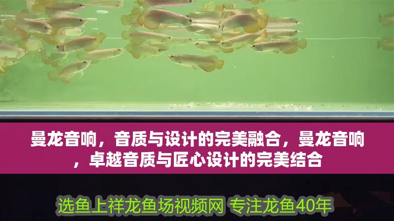 曼龍音響，音質(zhì)與設(shè)計的完美融合，曼龍音響，卓越音質(zhì)與匠心設(shè)計的完美結(jié)合