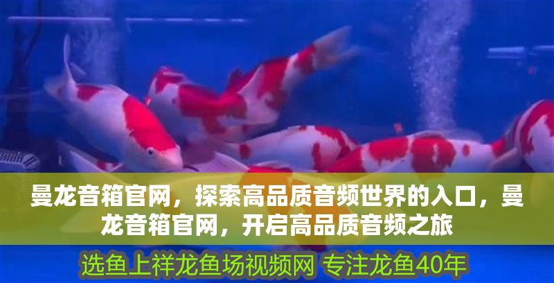 曼龍音箱官網，探索高品質音頻世界的入口，曼龍音箱官網，開啟高品質音頻之旅