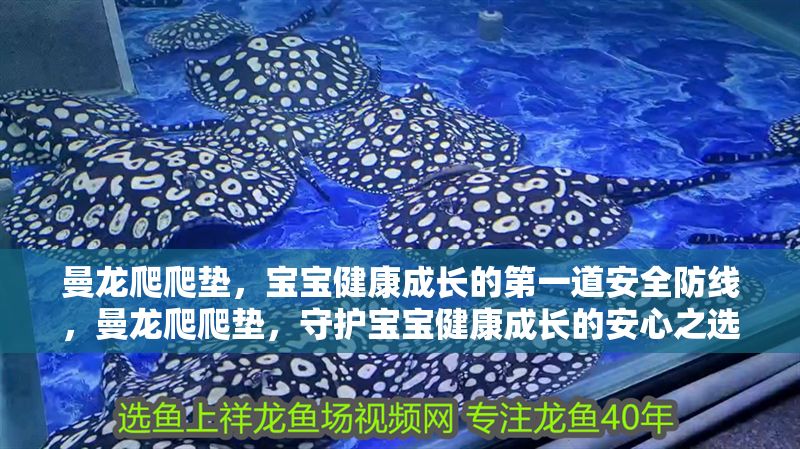 曼龍爬爬墊，寶寶健康成長的第一道安全防線，曼龍爬爬墊，守護(hù)寶寶健康成長的安心之選