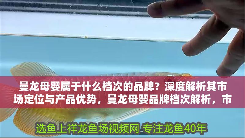 曼龍母嬰屬于什么檔次的品牌？深度解析其市場定位與產品優勢，曼龍母嬰品牌檔次解析，市場定位與產品優勢全揭秘