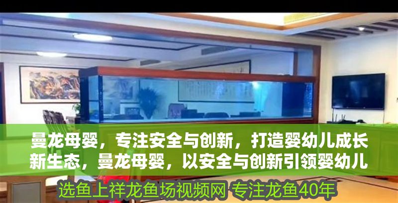 曼龍母嬰，專注安全與創新，打造嬰幼兒成長新生態，曼龍母嬰，以安全與創新引領嬰幼兒成長新生態