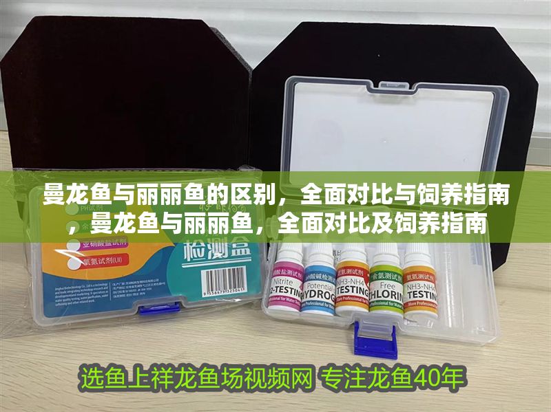 曼龍魚與麗麗魚的區別，全面對比與飼養指南，曼龍魚與麗麗魚，全面對比及飼養指南