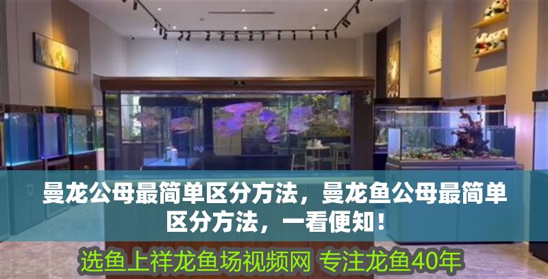 曼龍公母最簡單區分方法，曼龍魚公母最簡單區分方法，一看便知！