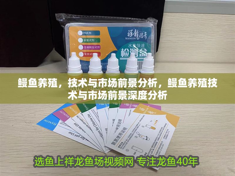 鰻魚養殖，技術與市場前景分析，鰻魚養殖技術與市場前景深度分析