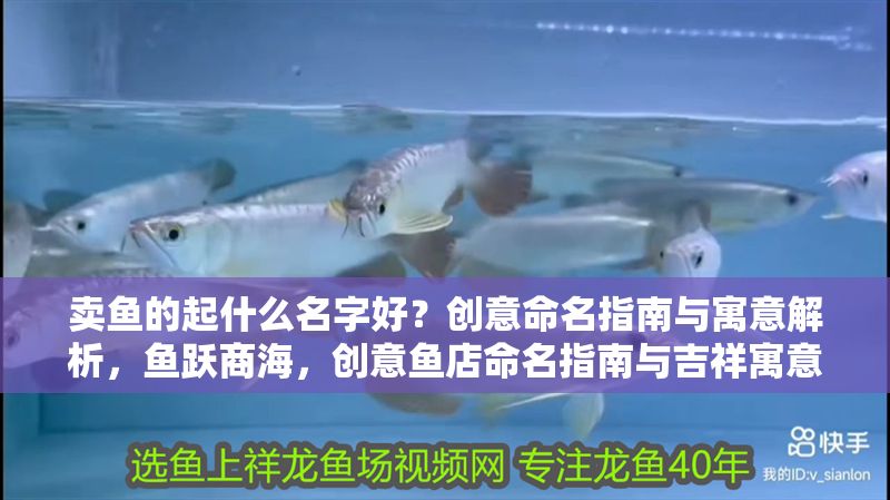 賣魚的起什么名字好？創(chuàng)意命名指南與寓意解析，魚躍商海，創(chuàng)意魚店命名指南與吉祥寓意全解析